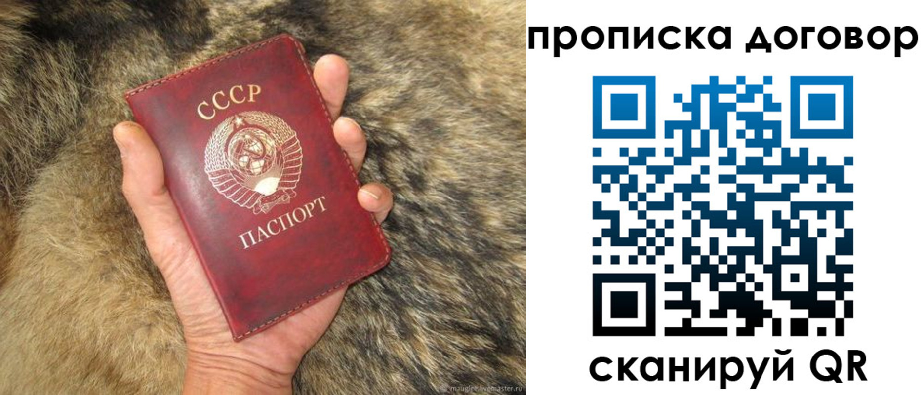 прописка регистрация в Кольчугино